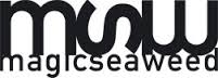 magicseaweed atlantic beach wave forecast